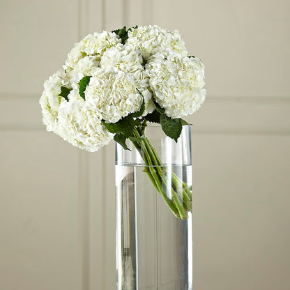 White Hydrangea Hand-Tied Bouquet –  Miracle Flowers, Folsom CA